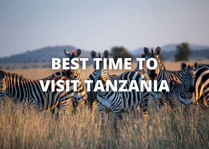 Best Time to Visit Tanzania