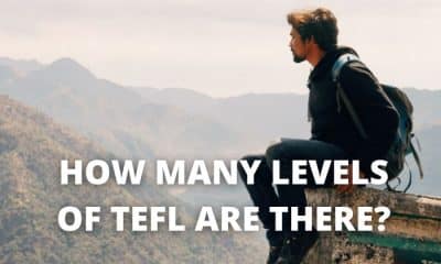 How many levels of TEFL are there?