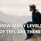 How many levels of TEFL are there?