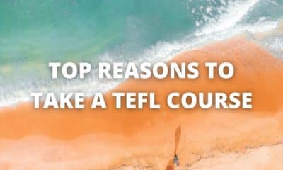 Top Reasons to Take a TEFL Course