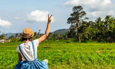 Volontariat à Bali