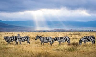 Volontariat en Tanzanie