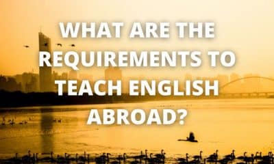 What are the Requirements to Teach English Abroad?