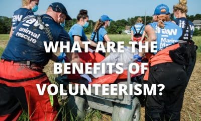 What are the benefits of volunteerism?