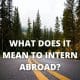 What does it mean to intern abroad