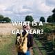 What is a Gap Year?