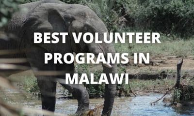 best volunteer programs in Malawi