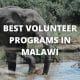 best volunteer programs in Malawi