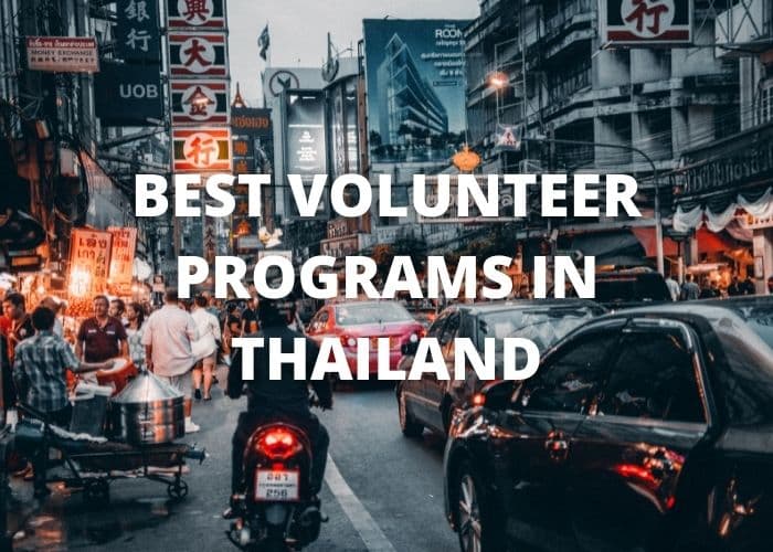 best volunteer programs in Thailand